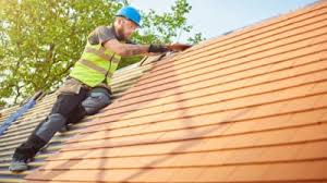 Best Skylight Installation and Repair  in Pumpkin Center, NC