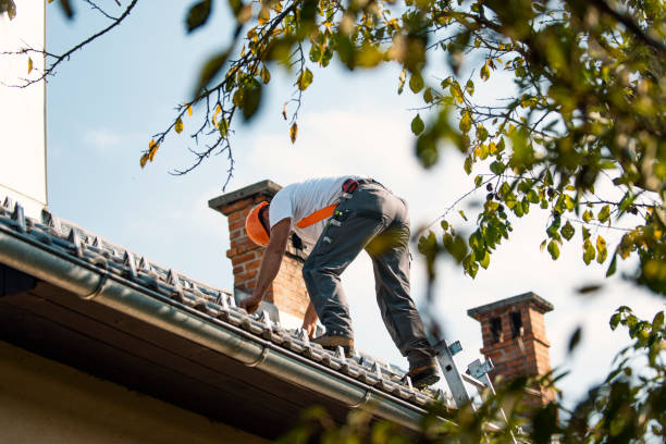Best Chimney Flashing Repair  in Pumpkin Center, NC