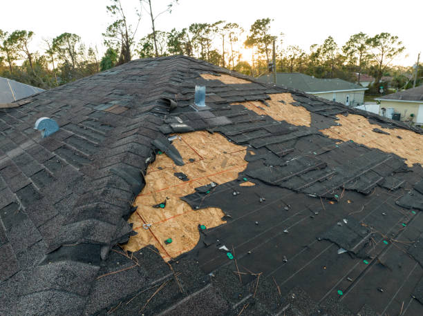 Best Roof Insulation Installation  in Pumpkin Center, NC