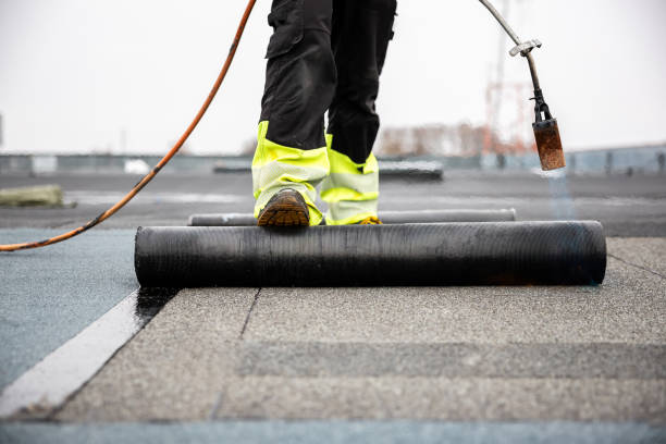 Best Gutter Installation and Repair  in Pumpkin Center, NC
