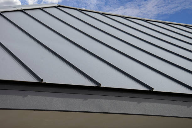 Best Commercial Roofing Services  in Pumpkin Center, NC